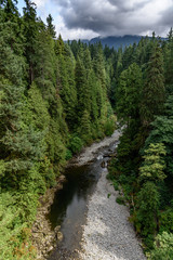 Fototapeta na wymiar Capilano River, Vancouver, Canada, running through a lush, wooded valley, with mountains in the background. The day is cloudy.