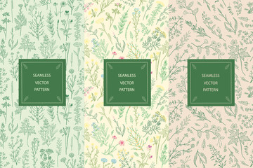 Vector set of packaging design templates, seamless patterns
