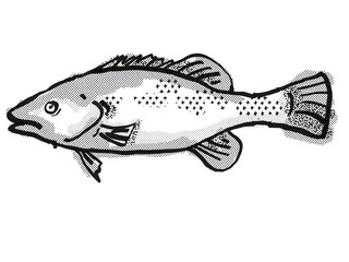 Trout Cod Australian Fish Cartoon Retro Drawing