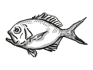 Yelloweye Redfish Australian Fish Cartoon Retro Drawing