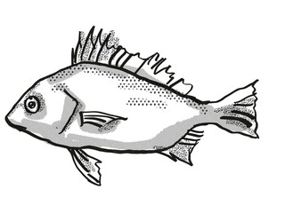 Silver Javelin Australian Fish Cartoon Retro Drawing