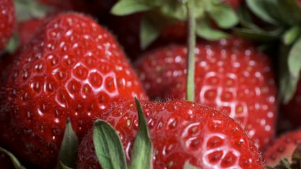 Movement upward along juicy ripe strawberries. Extreme close up, natural background, Camera moves upwards. 4K - 50fps