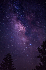 The Great Milky way covering the night sky © Ravioli