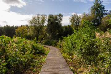 Stawy Dojlidzkie, Białystok, Podlasie, Polska © podlaski49