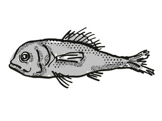 Eyebrow Bigscale Australian Fish Cartoon Retro Drawing