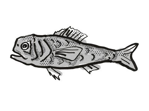Shoulderspine Bigscale Australian Fish Cartoon Retro Drawing
