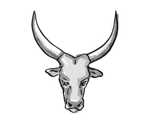 Ankole-Watusi Cartoon Retro Drawing