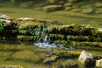 Ruscello di montagna a Piobbico nelle Marche