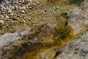 Ruscello di montagna a Piobbico nelle Marche