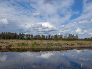 beautiful cloud glare, water like a mirror, springtime silhouettes of bare trees, dry and old grass in the foreground