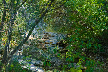 Ruscello di montagna a Piobbico nelle Marche