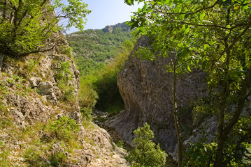 Plakat vista dal sentiero 208 fosso dell'eremo a Piobbico