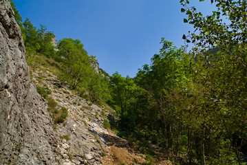 Fototapeta na wymiar vista dal sentiero 208 fosso dell'eremo a Piobbico