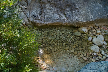 Ruscello di montagna a Piobbico nelle Marche
