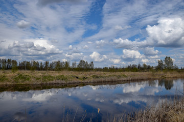 beautiful cloud glare, water like a mirror, springtime silhouettes of bare trees, dry and old grass in the foreground