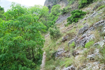 Fototapeta na wymiar Vista lungo il sentiero 208 fosso dell'eremo a Piobbico