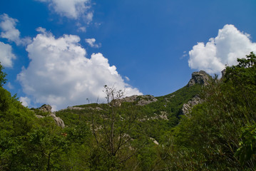 Vista lungo il sentiero 208 fosso dell'eremo a Piobbico
