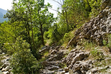 Vista lungo il sentiero 208 fosso dell'eremo a Piobbico