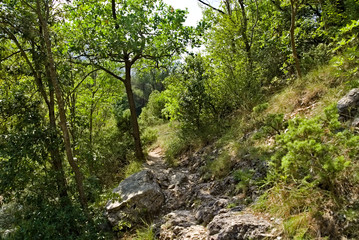 Fototapeta premium Vista lungo il sentiero 208 fosso dell'eremo a Piobbico