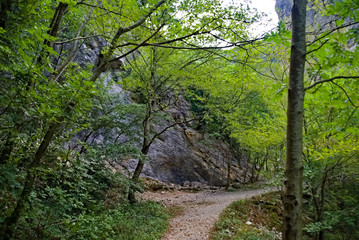 Vista lungo il sentiero 208 fosso dell'eremo a Piobbico