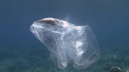 Plastic pollution, Pufferfish died hitting trapped in plastic bag. Discarded transparent plastic bag floats with dead fish inside under surface in the blue water. Underwater shot, Mediterranean Sea 