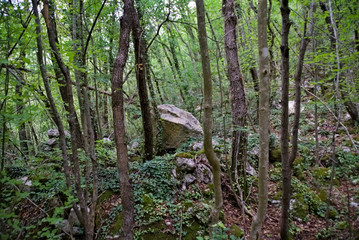 Vista lungo il sentiero 208 fosso dell'eremo a Piobbico