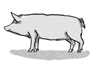 Tamworth Pig Breed Cartoon Retro Drawing