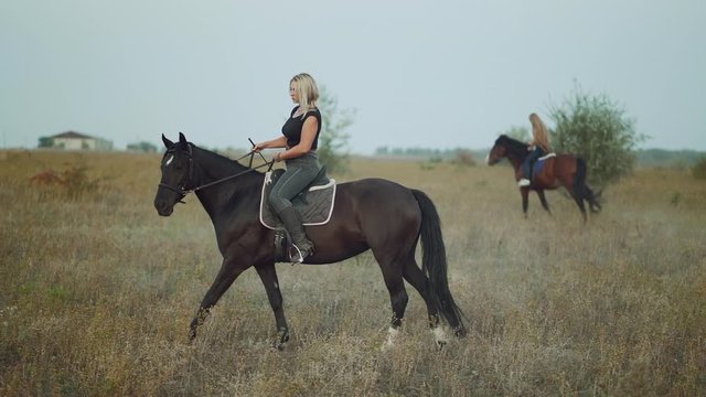 Young women riding horses in slow motion on green field. Autumn season. Concept of farm animals, training, horse racing, nature