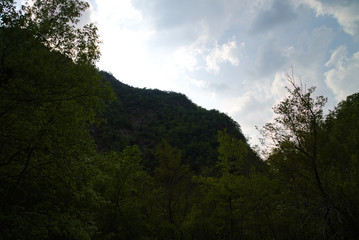 Vista lungo il sentiero 208 fosso dell'eremo a Piobbico