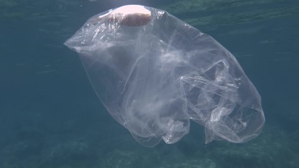 Plastic pollution, Pufferfish died hitting trapped in plastic bag. Discarded transparent plastic bag floats with dead fish inside under surface in the blue water. Underwater shot, Mediterranean Sea 