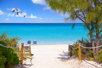 Beautiful view of the sea and the beach with seagulls in the sky.
