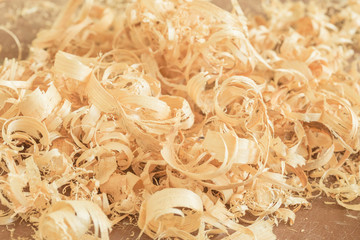 Close up view on wood shavings. Abstract background.