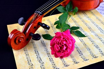 Fototapeta premium Violin with sheet music and pink rose on black background