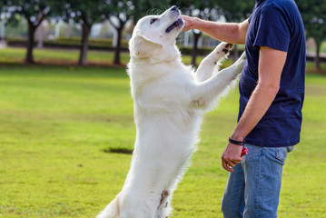 Man with his dog playing outdoor in the park. Young owner hugs his pet.