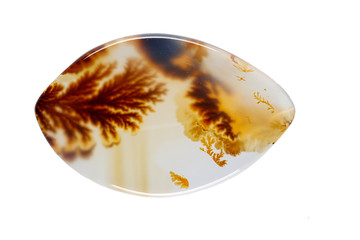 macro mineral stone Agata muschiata on a white background close-up