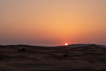 Naklejka na ściany i meble Sunset in the desert in UAE. Sun is setting behind the sand dunes.