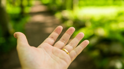 Man raising his left hand up to the sky in the forest, summertime with bright sunshine and colors. Positivt embracing concept