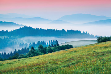 Bright morning scene of mountain valley. Unbelievable summer sunrise in Carpathian mountains, Rika...