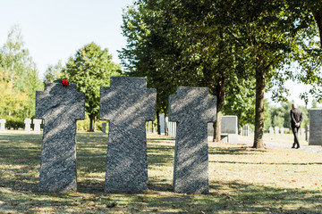 selective focus of red rose on tombstone near man walking in cemetery