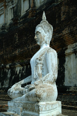 Fototapeta premium historische Tempel in Ayutthaya, Thailand