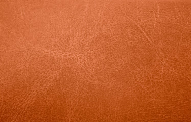 leather texture