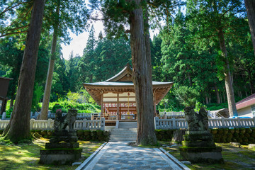 Fototapeta premium 富山 五箇山 白山宮の舞殿