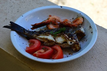 Grilled tail part of fish from Dentex family with crunchy grilled larger shrimps and fresh sliced tomatoes, placed on white ceramic plate, placed in shade on concrete murral. 