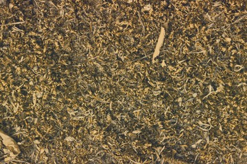 orange grunge shabby mossy boulder texture - fantastic abstract photo background