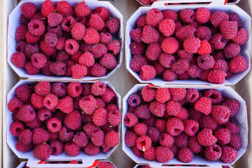 Fresh raspberries in containers at a farmers market