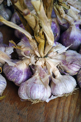 Fresh purple garlic at a French farmers market