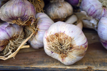 Fresh purple garlic at a French farmers market