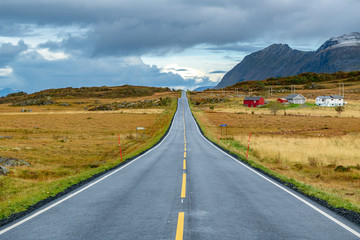 A long straight beautiful road in Lofoten, Norway. Concept of future, direction, journey, progress.