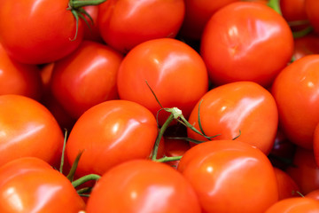 Delicious ripe fresh red vegetables on green branch. Summer tray market agriculture farm full of organic vegetables, can be used as background.