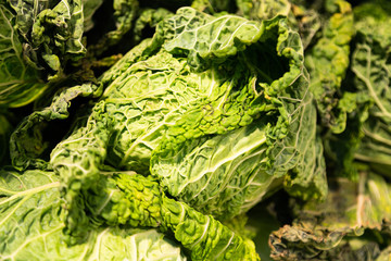 Fresh organic salad lettuce leaves. Natural greens on background